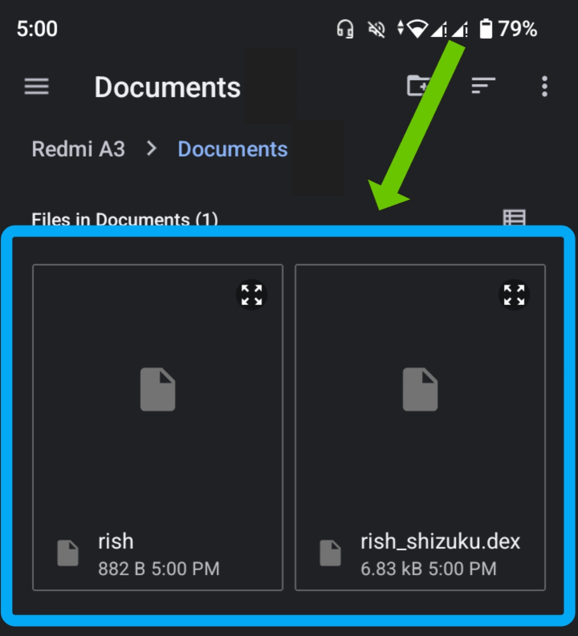 Files saved inside the Documents folder